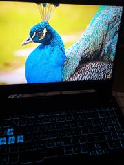 Τουμπανο Μπρο gaming laptop 