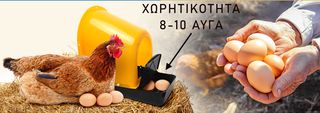 ΦΩΛΙΑ ΚΟΤΑΣ (ΚΙΤΡΙΝΗ) 30Χ45Χ46-thumb-8