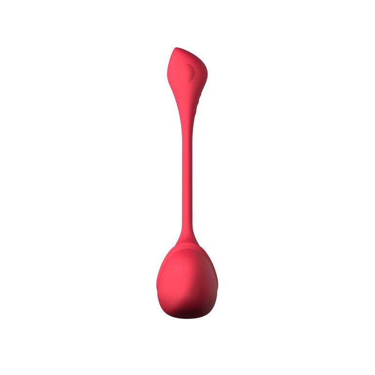 LOVENSE VULSE VIGINAL EGG UP AND DOWN