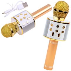 Wireless karaoke microphone speaker IN0136