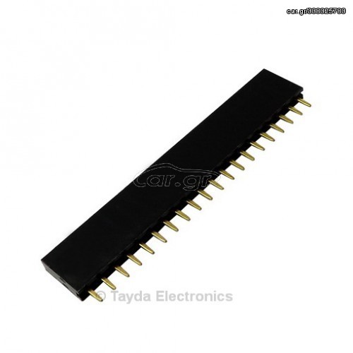 ΘΗΛΥΚΗ ΜΟΝΗ ΙΣΙΑ 20 PIN