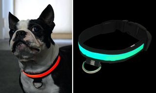 Περιλαίμιο Σκύλου με Φωτισμό LED