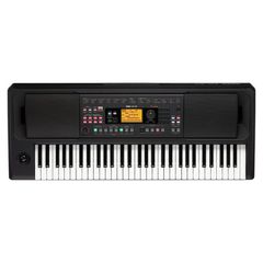 KORG EK-50 L Arranger with 61 keys - KORG