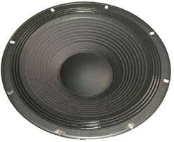ELECTRO VOICE D358288 Woofer DL 12" for SX300 - ELECTRO VOICE