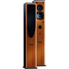 ALIANTE CNM TOWNER 2-WAY LOUDSPEAKER 100W - Aliante