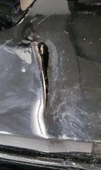 TOYOTA RAV 4 (XA50) 19-26 ΠΡΟΦΥΛΑΚΤΗΡΑΣ ΠΙΣΩ (69I)-thumb-3