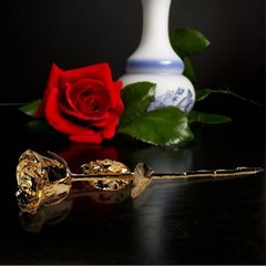 Mikamax - 24K Golden Rose
