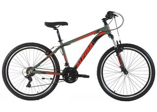 All - Mountain Alpina 2024 Alpina MTB alloy 24x14 21Τ S Γκρι-Λαϊμ-thumb-10