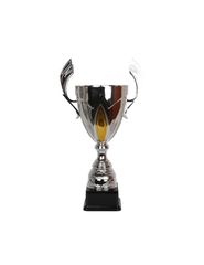 Triumph Cup NT755