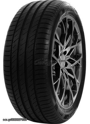 225-55 ZR16 TL 99W  DELINTE DS2 DELINTE