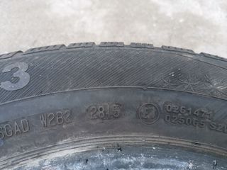 185 65 15 BARUM POLARIS 3 DOT 2815 (2 TMX)-thumb-2