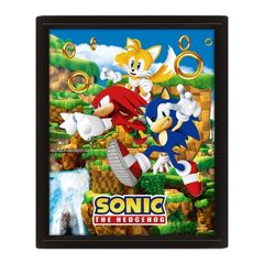 Κάδρο 3D Catching Rings - Sonic (25.5 x 20.5 cm)