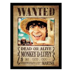 Κάδρο Luffy Wanted Poster - One Piece (40.5 x 30.5 cm)