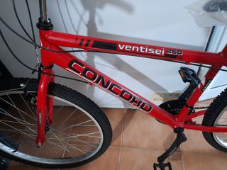 All - Mountain 2024 MTB 26'
