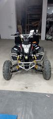 Gas-Gas Wild HP 450 2007