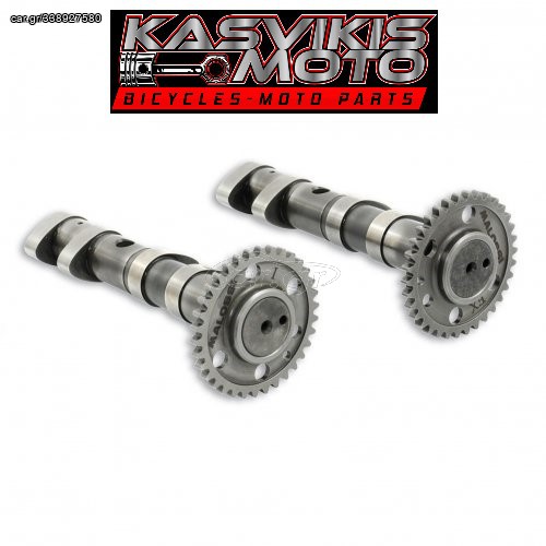 ΕΚΕΝΤΡΟΦΟΡΟΣ MALOSSI RACING POWER CAM T-MAX 500 (2001-2011) (MALOSSI 5913783)