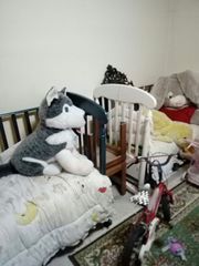 ΚΟΎΝΙΑ ΜΩΡΟΎ