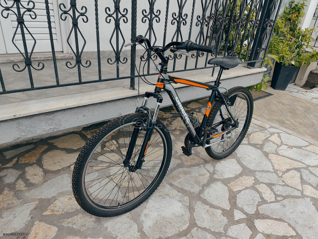 Trekking Orient 2022 Steed alu 29