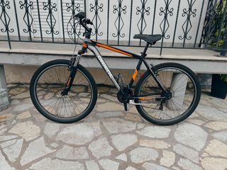 Trekking Orient 2022 Steed alu 29-thumb-1