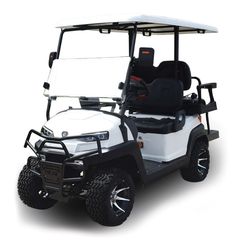 Go Kart αλλο '24 E-RIDE GOLF CART