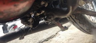 Kreidler Florett 50 1970 k54/54 k54 ΜΕ ΑΔΕΙΑ ΚΑΙ ΧΑΡΤΙΑ ΚΑΝΟΝΙΚΑ ΠΡΟΣΦΟΡΑ ΜΗΝΟΣ-thumb-42