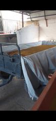 Τριορισμένος σερραϊκός τριφυλλόσπορος-thumb-1