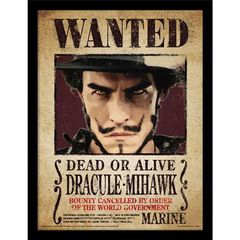 ONE PIECE LIVE ACTION - Dracule Mihawk - Collector Print 30x40cm