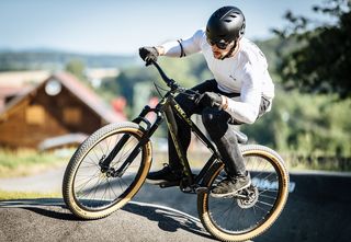 Dirt Jump Kellys 2025 WHIP 10     5 Χρόνια Εγγύηση-thumb-7