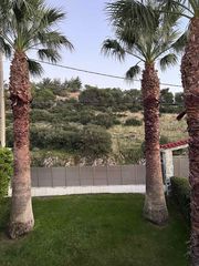 Φοίνικες Υγιείς-thumb-1