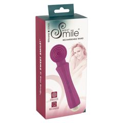 Συσκευή για Μασάζ Rechargeable Wand