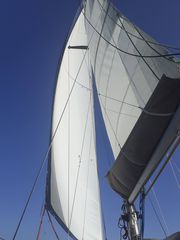 Τζένοα πανί για ιστιοπλοϊκό 13,6m luff/5,8m foot- Genoa sail