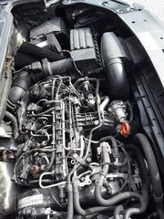 Νεκροφόρα Volkswagen 2012 CADDY MAXI-thumb-19