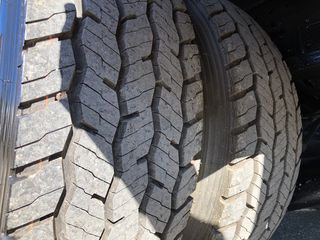 Καρότσα Μουσαμάς MAN 2014 TGL 12.220 Euro6 (1018 1224 1324 1529)-thumb-32