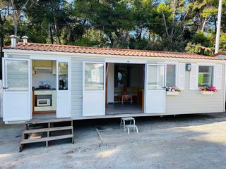 Sun Roller 2014 Holiday 9 X 4-thumb-4