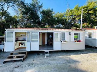 Sun Roller 2014 Holiday 9 X 4-thumb-4