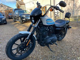 Harley Davidson XL 1200 Sportster Custom '20 Iron 