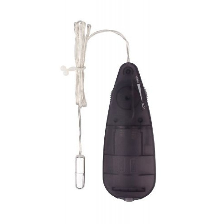 Bullet with remote control Silver Mini