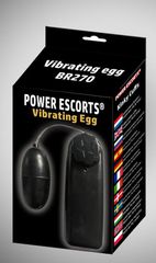 Vibrating egg-thumb-1