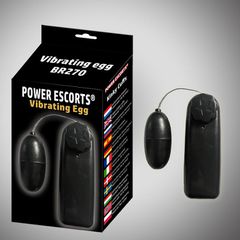 Vibrating egg
