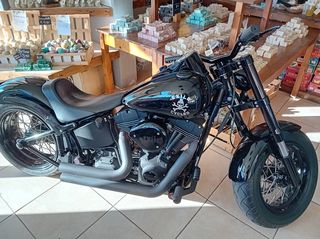 Harley Davidson '09 EXILE