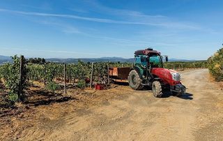 Δενδροκομικά Τρακτέρ McCormick 2026 McCORMICK X4.100 XL STAGE V-thumb-13