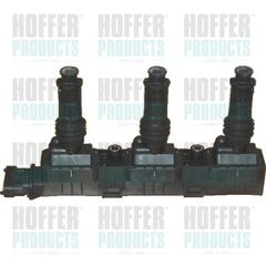 Πολλαπλασιαστής HOFFER 8010483