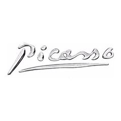 Αυτοκόλλητο Σήμα Αυτοκινήτου Χρωμίου Picasso Citroen 15.3 x 3.9 cm 1 Τεμάχιο