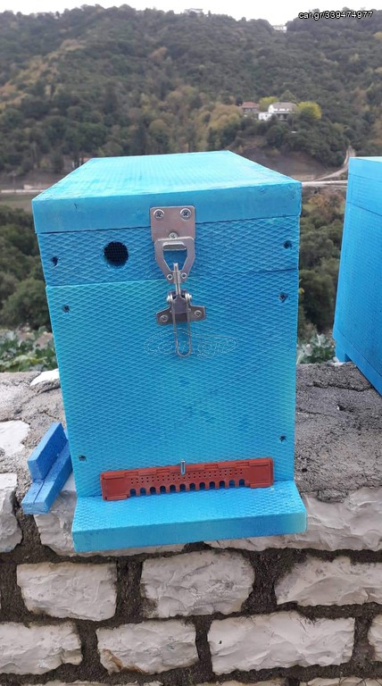 Κυψέλες πολυστερίνης 5 πλαισίων 