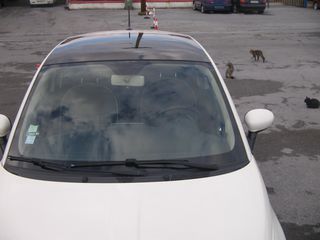 Fiat 500 2019 1.2 Lounge Panorama-thumb-4
