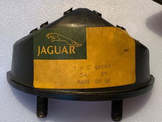 Jaguar C43790
