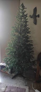Χριστουγεννιάτικο δέντρο με φάτνη