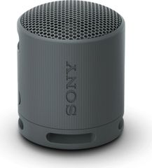 Sony Bluetooth Speaker SRS-XB100 Black - (SRSXB100B.CE7)