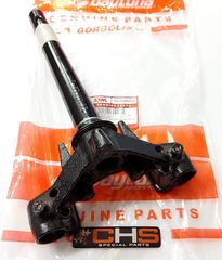 DAYTONA ΛΑΙΜΟΣ (ΣΤΑΥΡΟΣ) ΠΙΡΟΥΝΙΟΥ DY125RS EFI euro-4