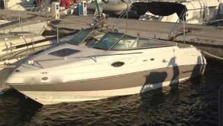 Chaparral 2008 215 Ssi